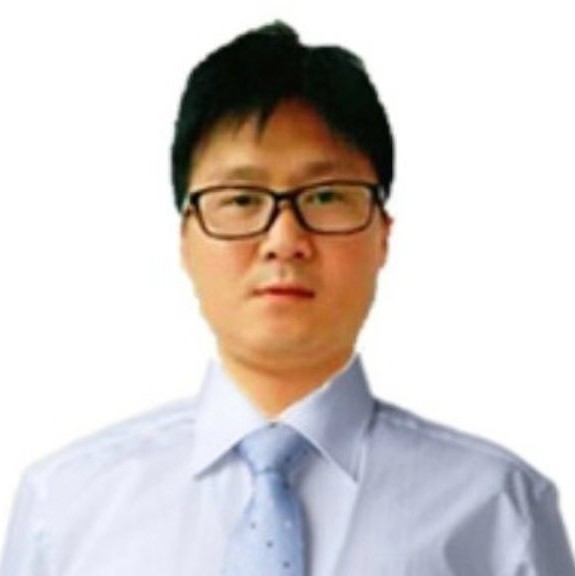 大象蹁跹时尚的照片
