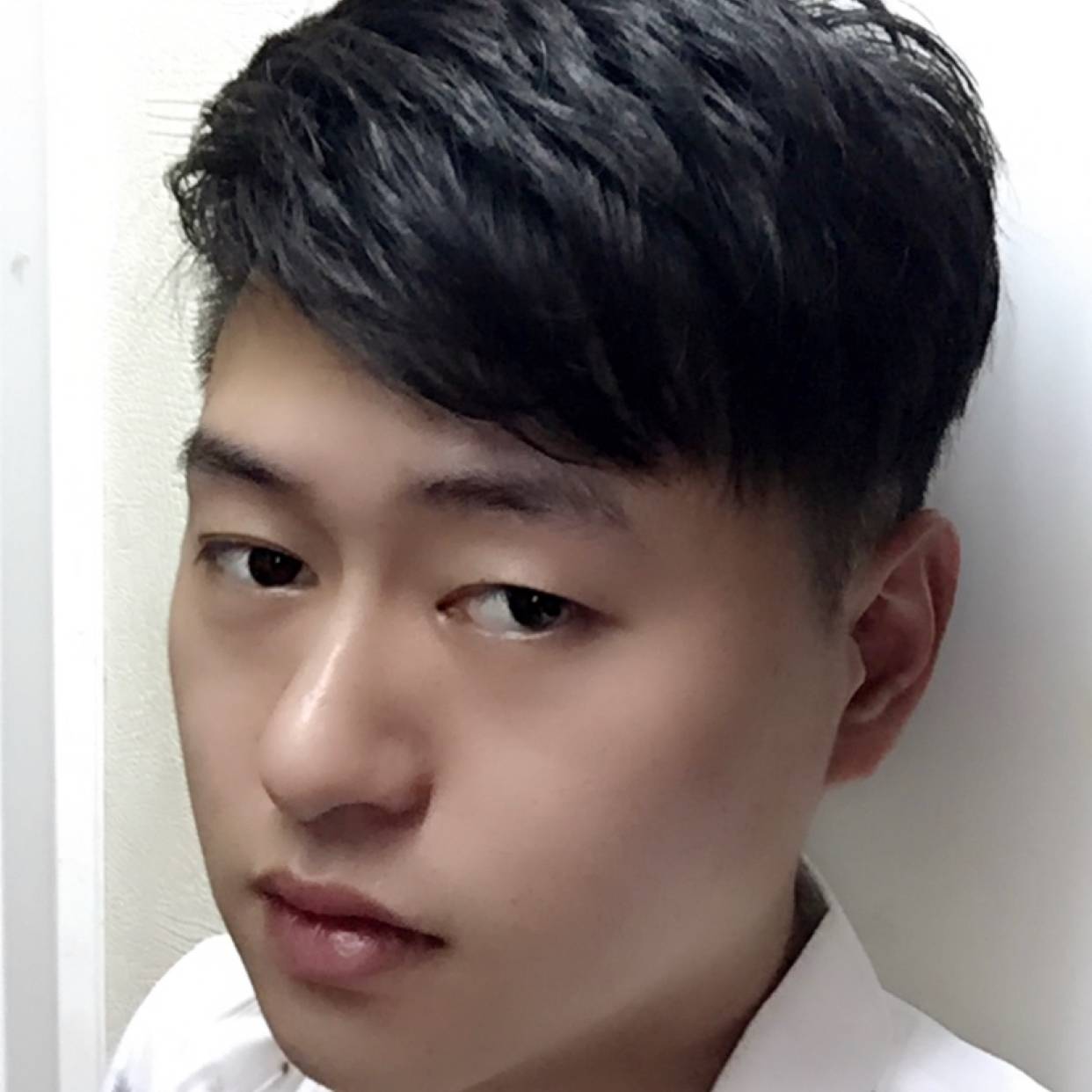 小天鹅激昂的照片