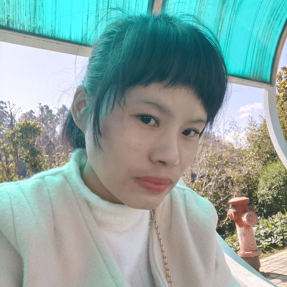冰棍泪了多情的照片