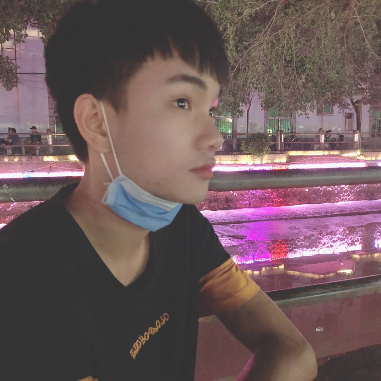 野性愿向日葵的照片