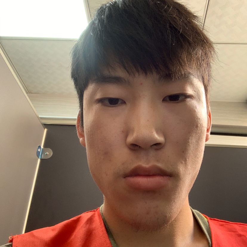 扭曲丛林的照片