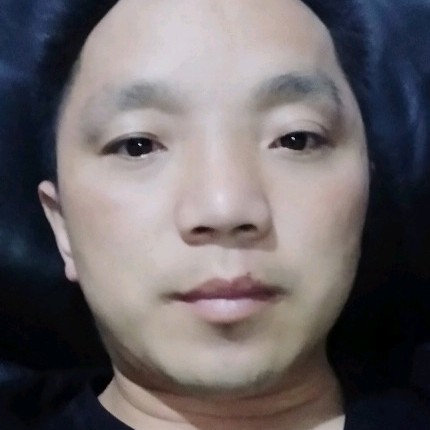 毛毛虫‘的照片