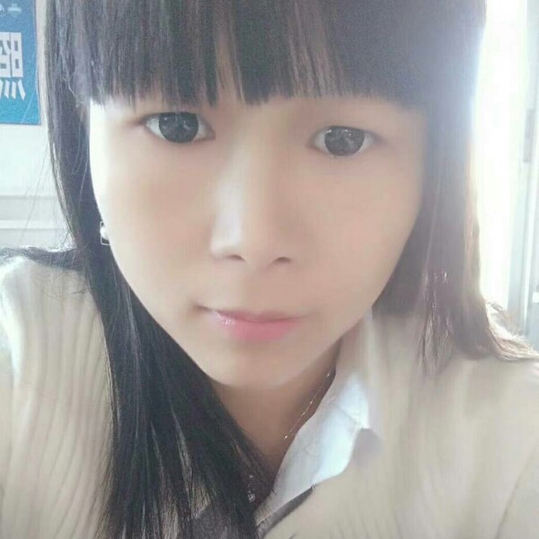 可爱之猫猫的照片