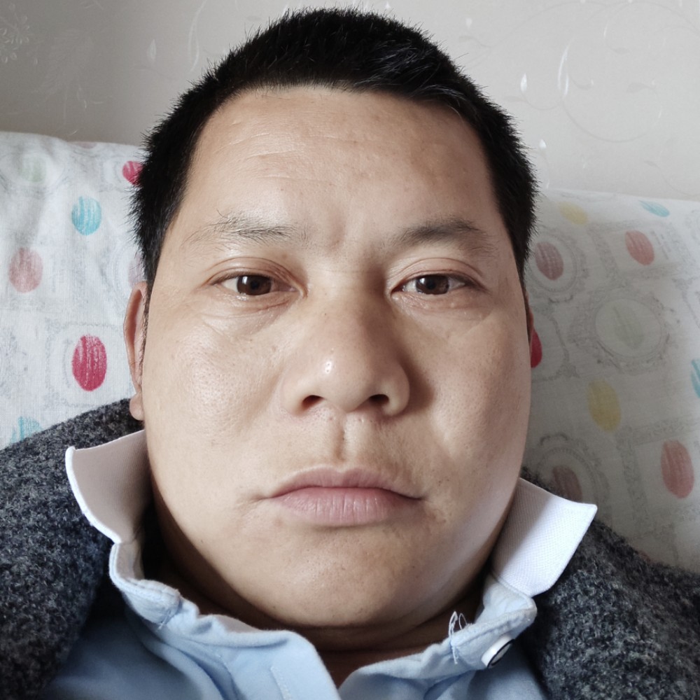 机灵吃醋灰狼的照片