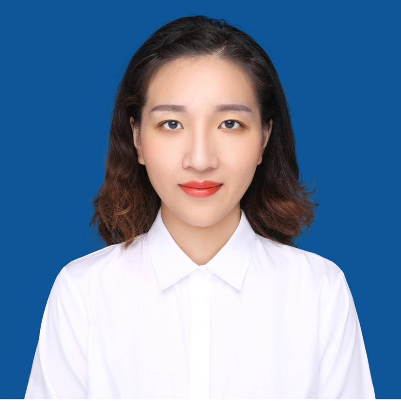 高高放弃小蚂蚁的照片