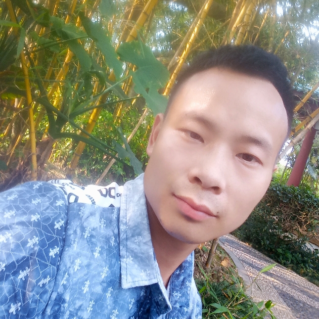 &孤独的人生&的照片