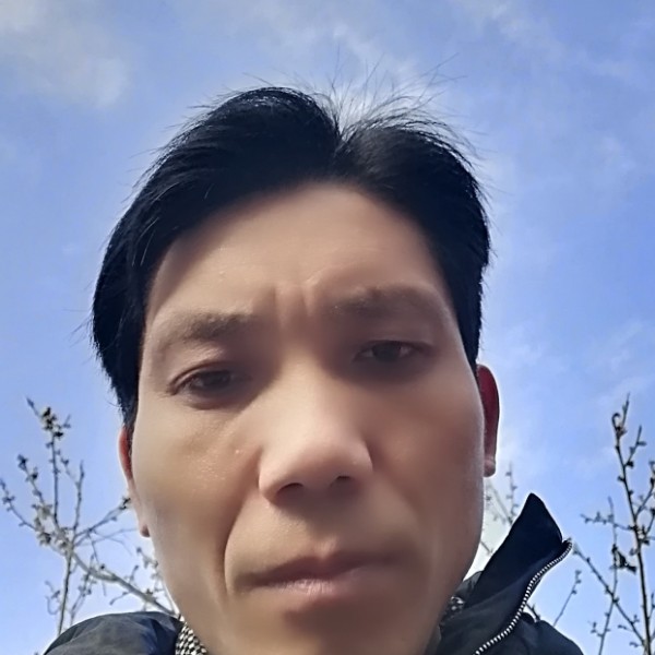 黄蜂和甜甜的照片