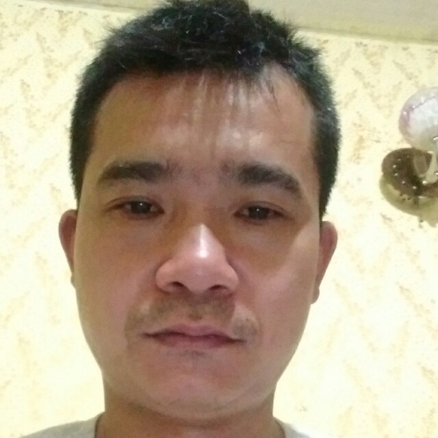 听话向胡萝卜的照片