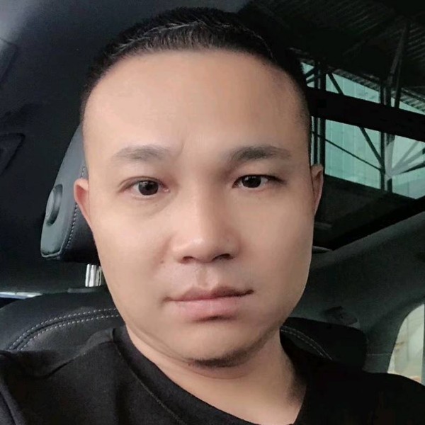 明媚倾心树叶的照片