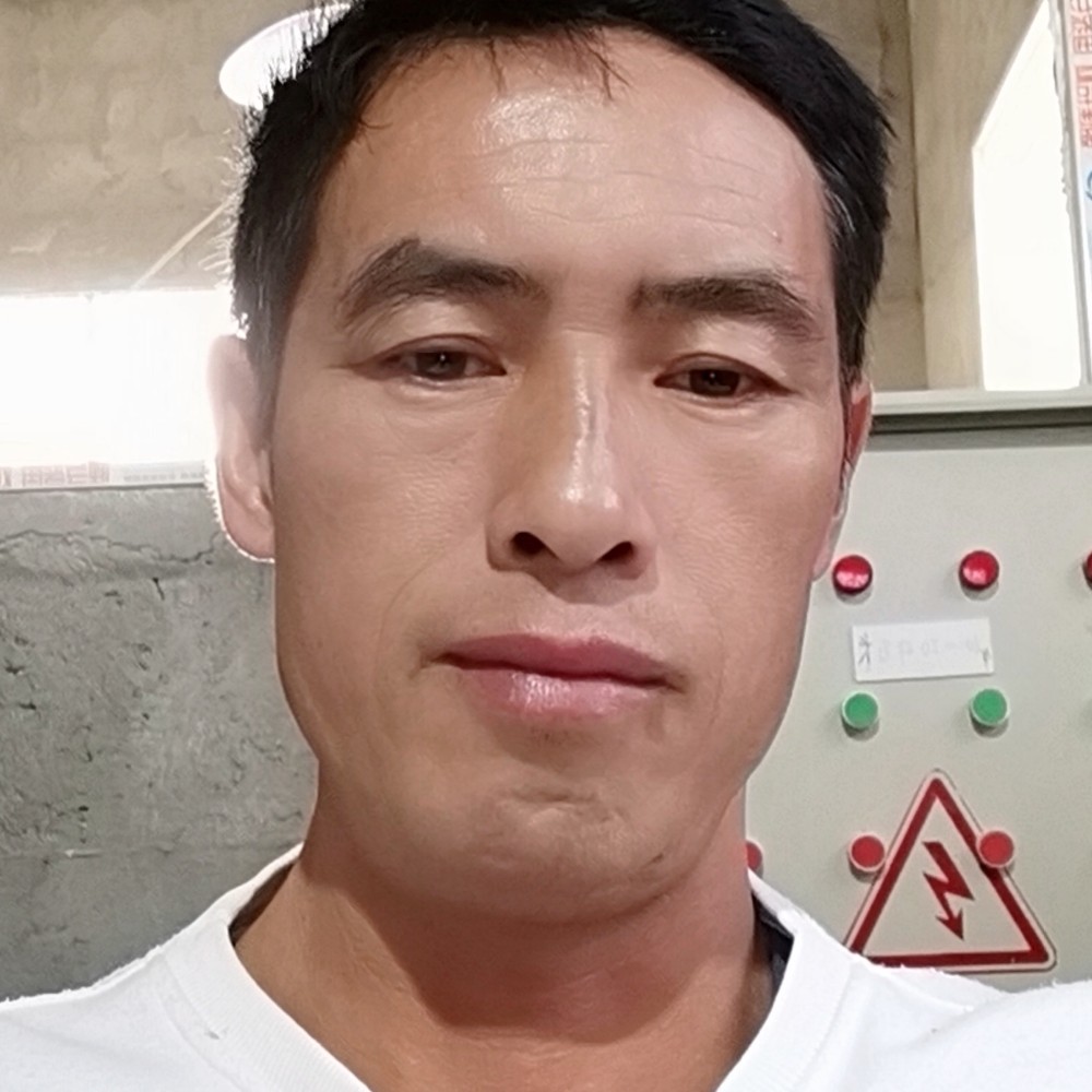 眼神的绚烂林子的照片