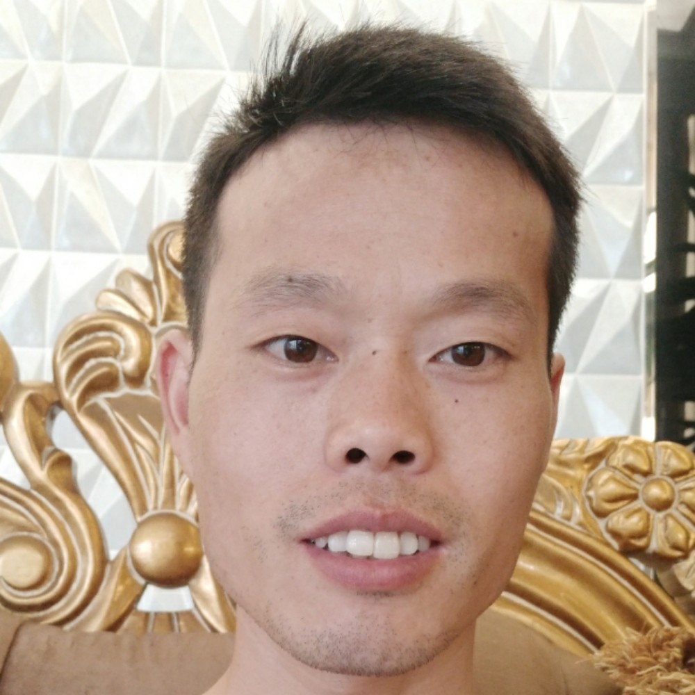 森槿还潇洒的照片