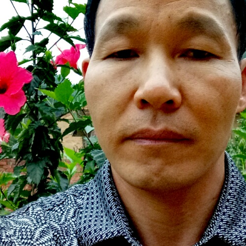 开心不打折的照片