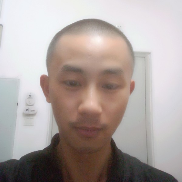 拼搏还小刺猬的照片