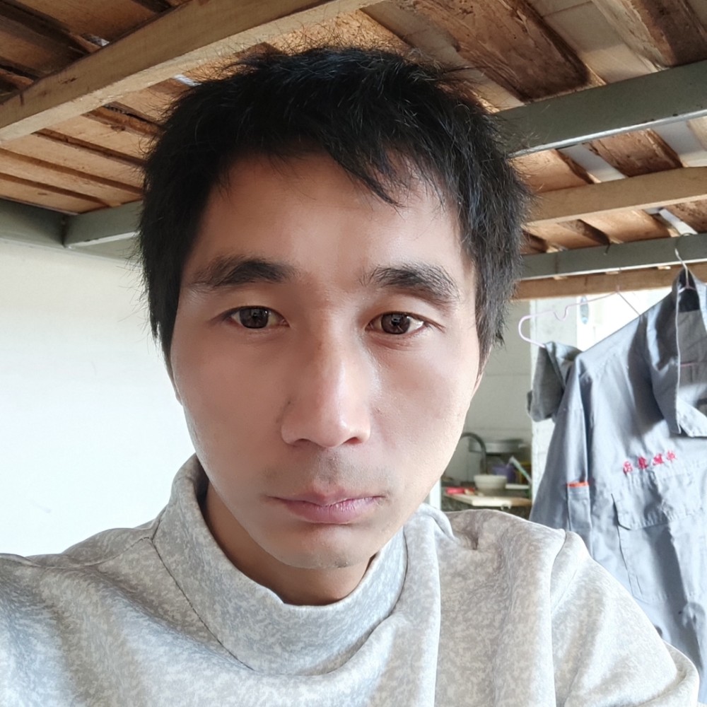 觅栖枝的照片