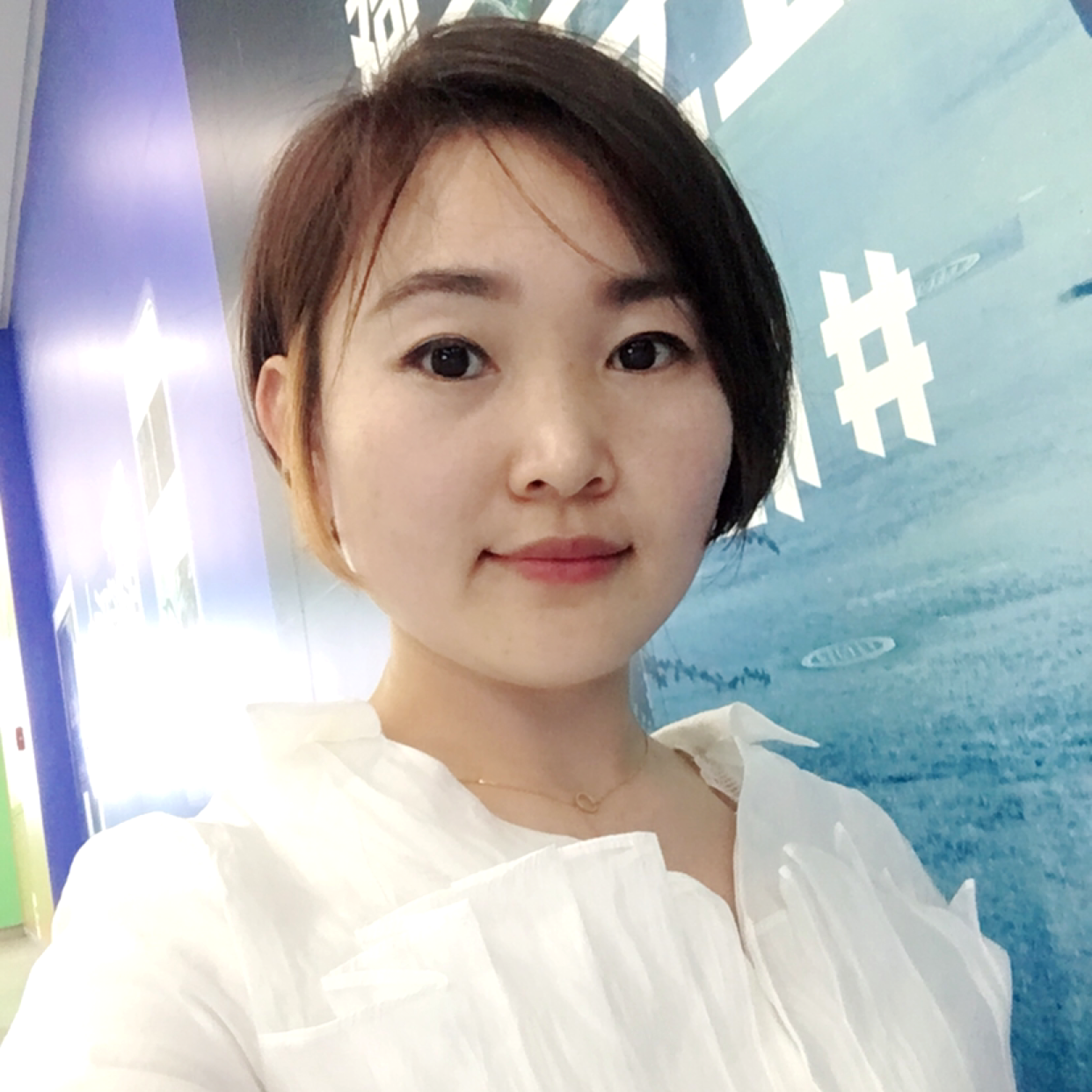 翅膀的归宿的照片