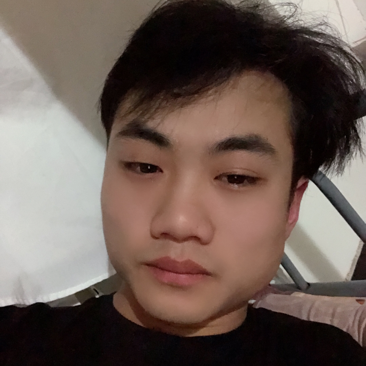 zealfor的照片
