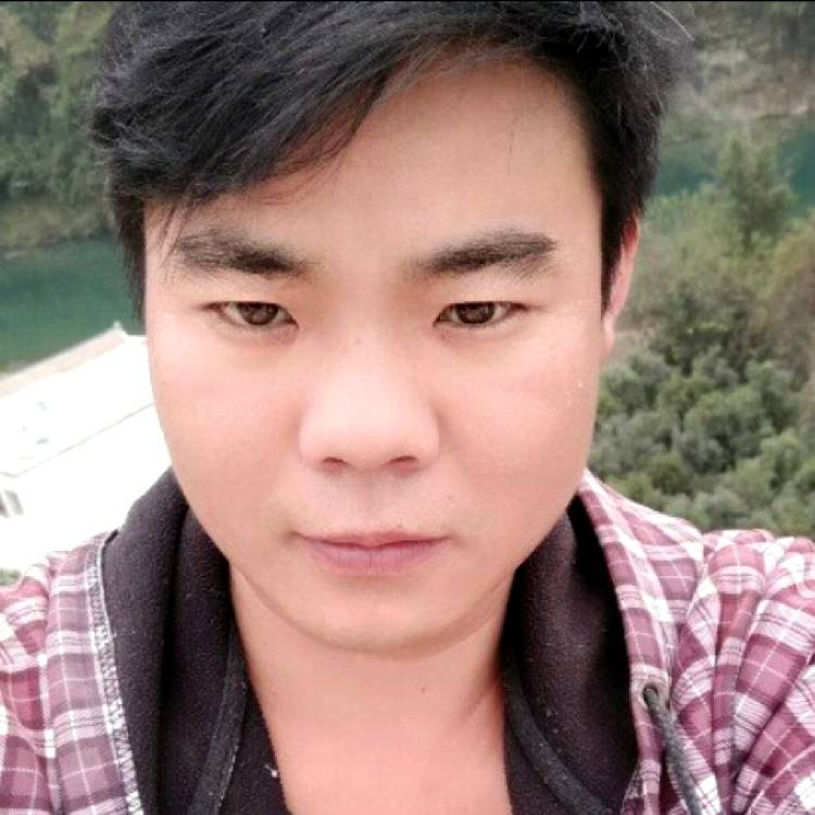 会员293695726的照片