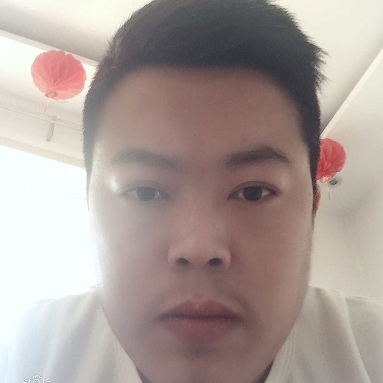 小懒虫结实的照片