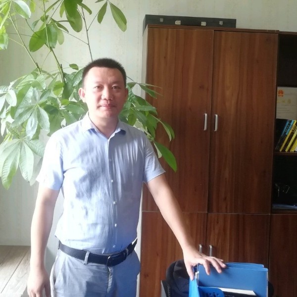 敏感含羞草1的照片