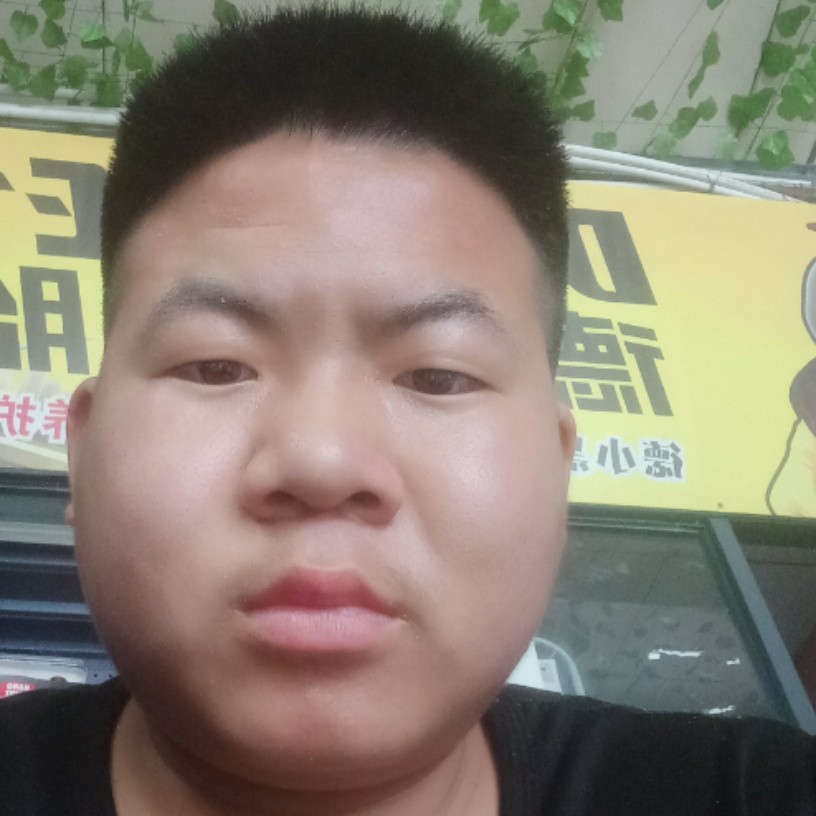 太阳向大胆的照片