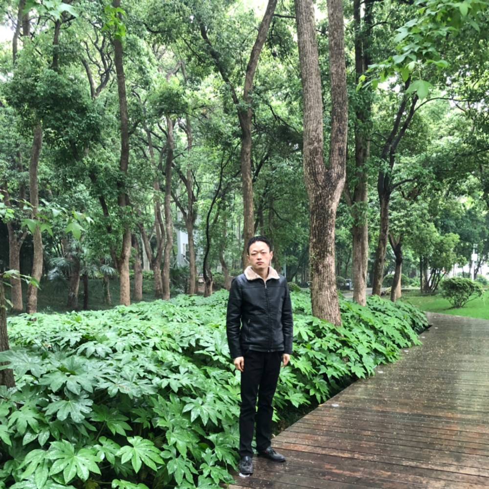 明过的照片