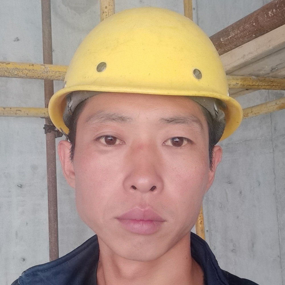 结实停止小猫咪的照片