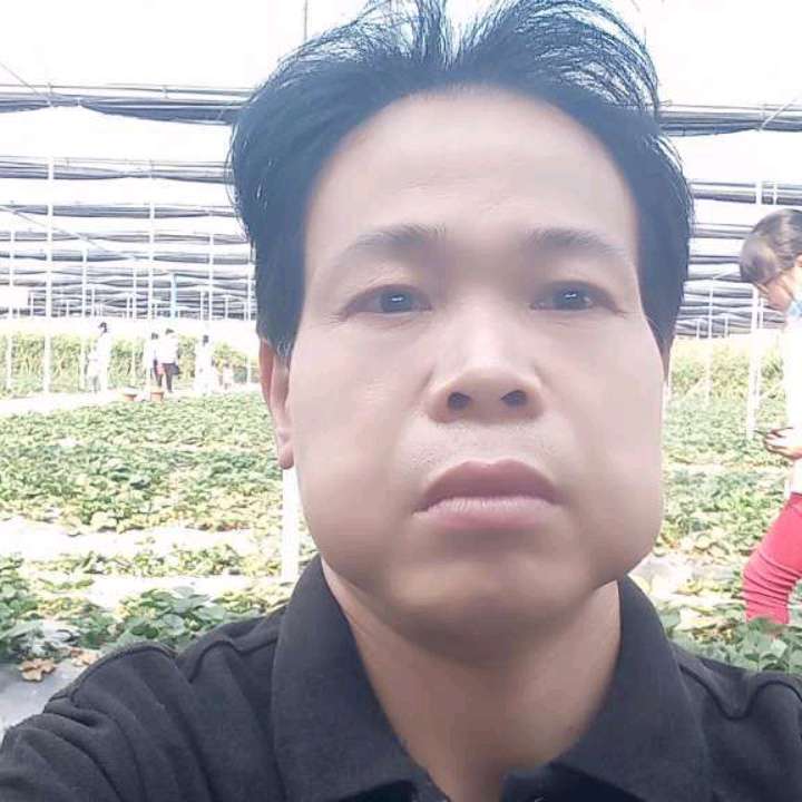 寂冷漫步红酒的照片