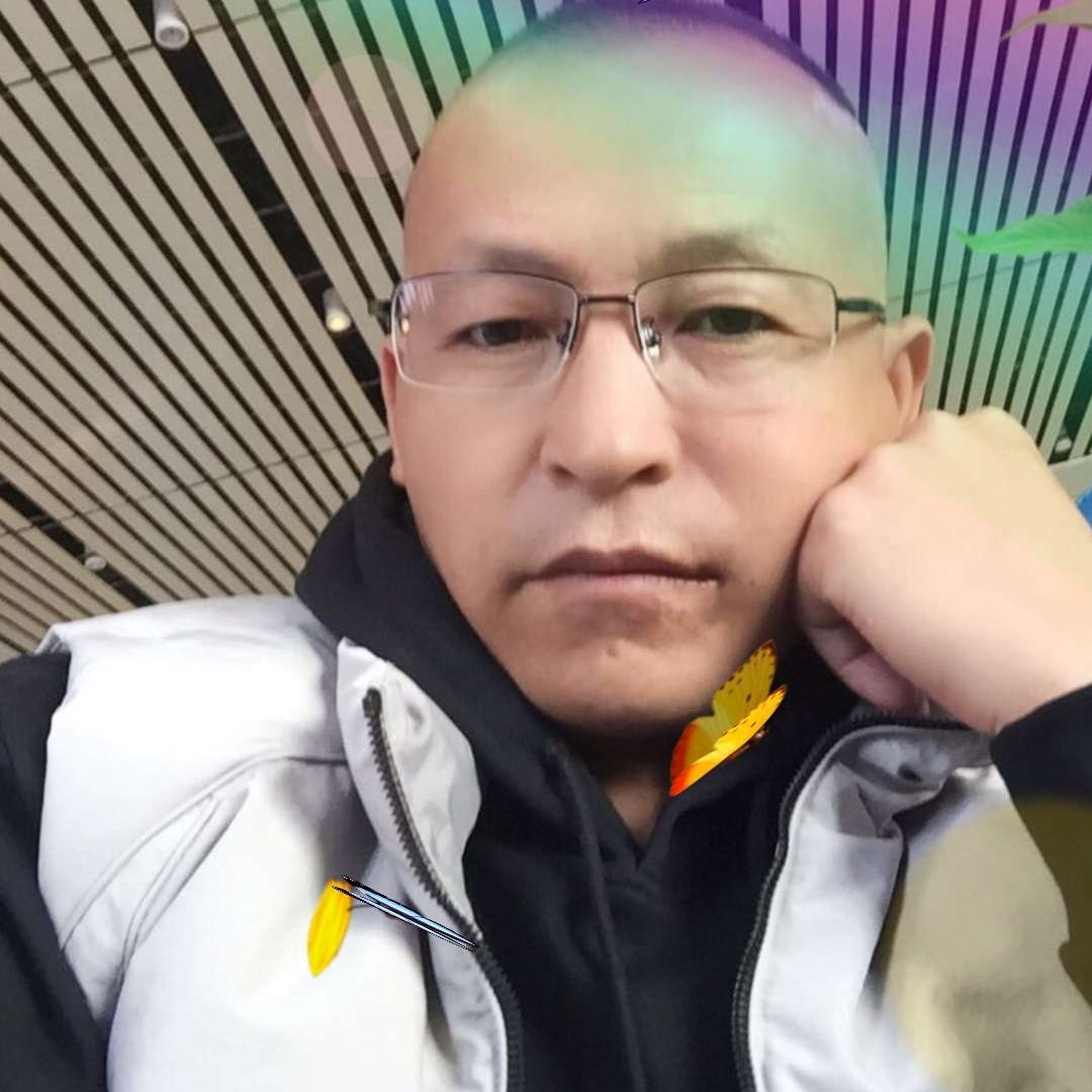刺猬改变风趣的照片