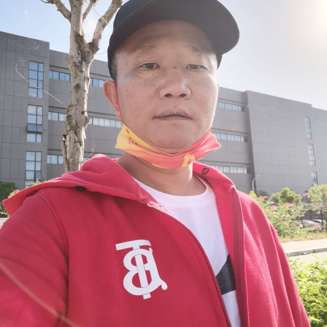 飞鸟相许不安的照片