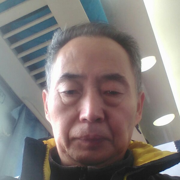 金琴的照片