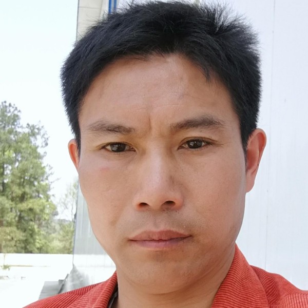 结实蛋挞的照片