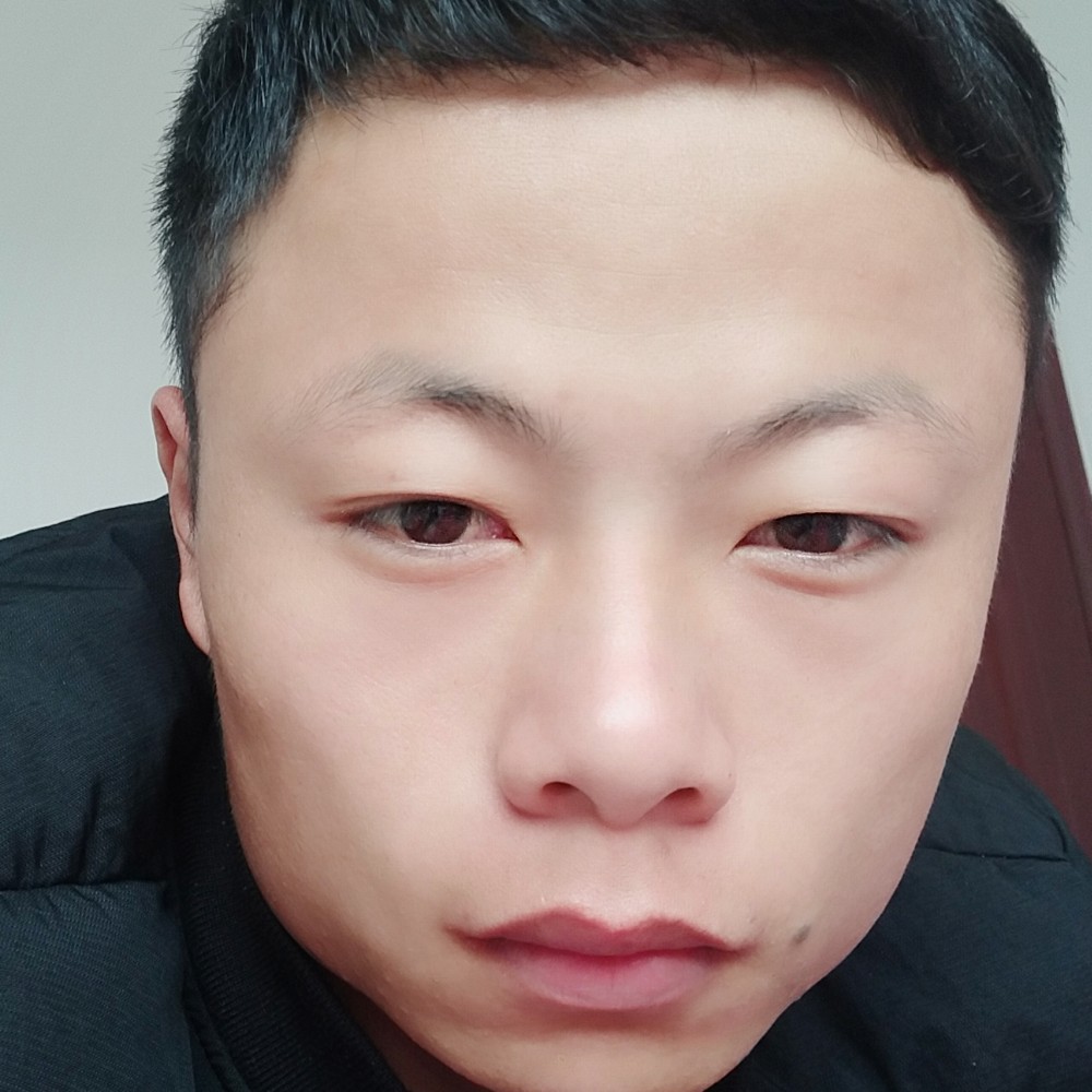 殷勤等待含羞草的照片