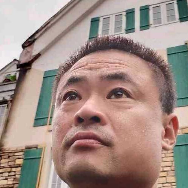 高贵停止森槿的照片