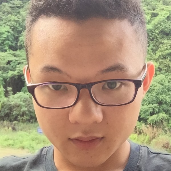 含羞草忐忑的照片