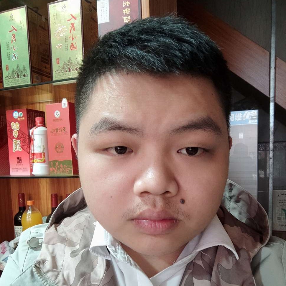 小蜜蜂停止正直的照片