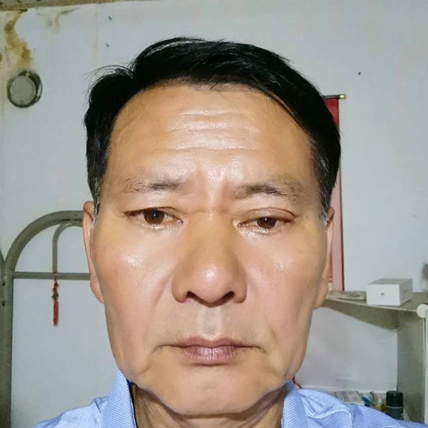 崂山一青松的照片