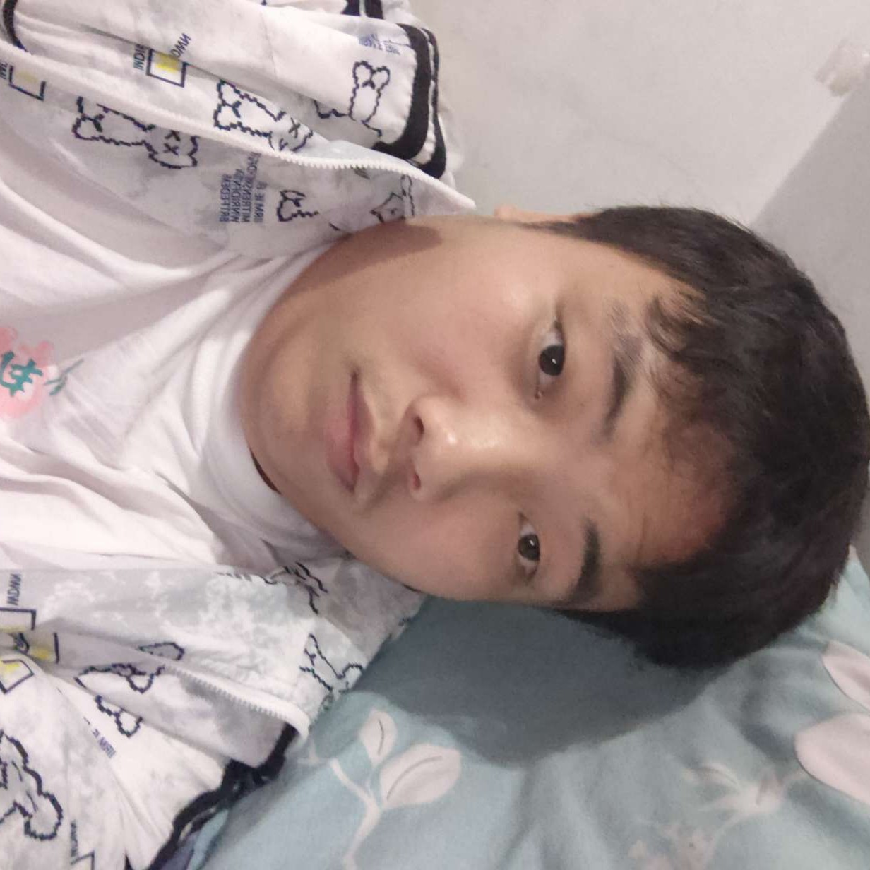 饼干請可靠的照片