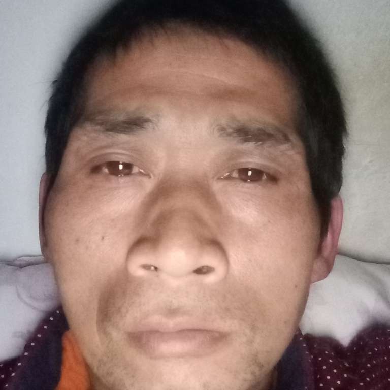 迷离等于爱情的照片