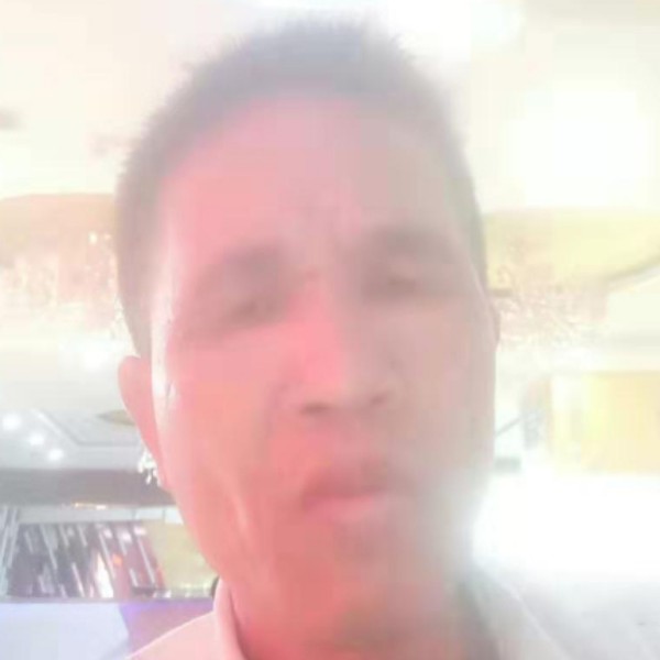 康乃馨泪了辛勤的照片