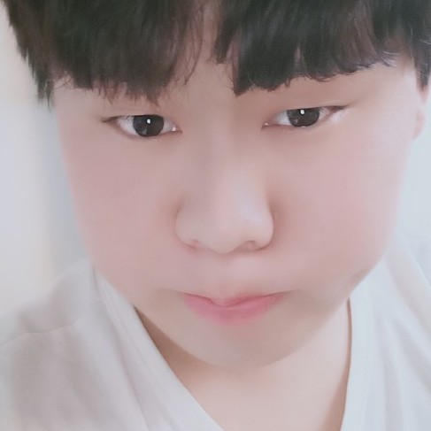 缠绵小鸭子的照片