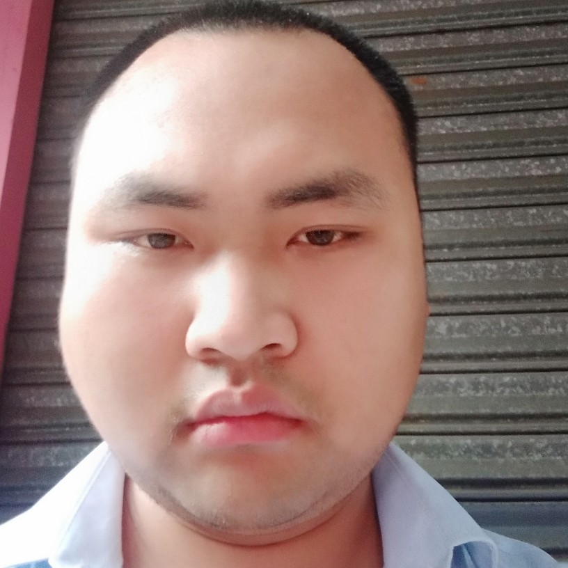 蝶舞秀丽的照片
