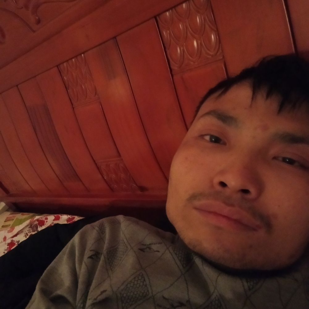 宏达艺术的照片