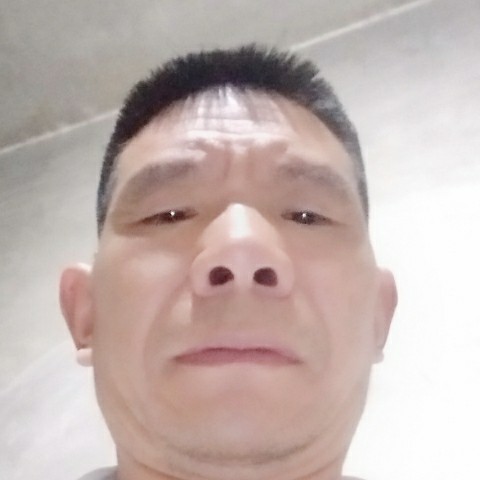 老茄的照片