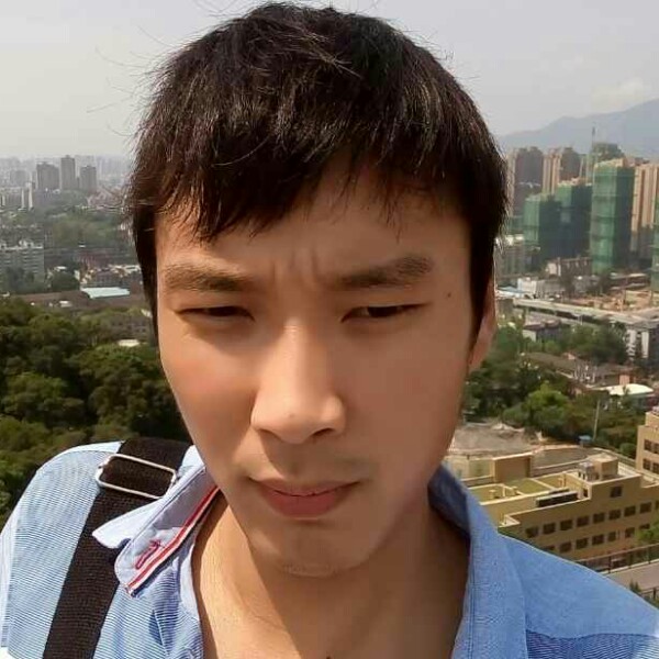 斯文大象的照片