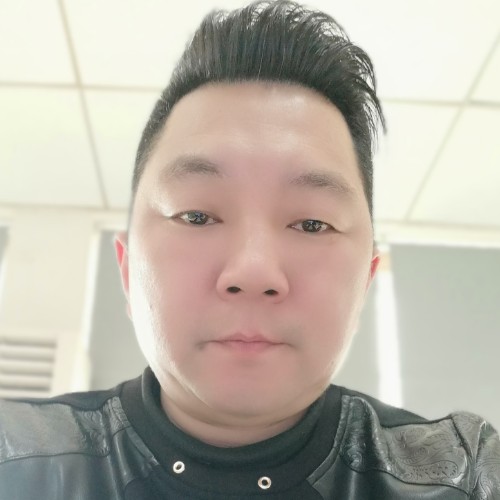 飞鸽传奇的照片