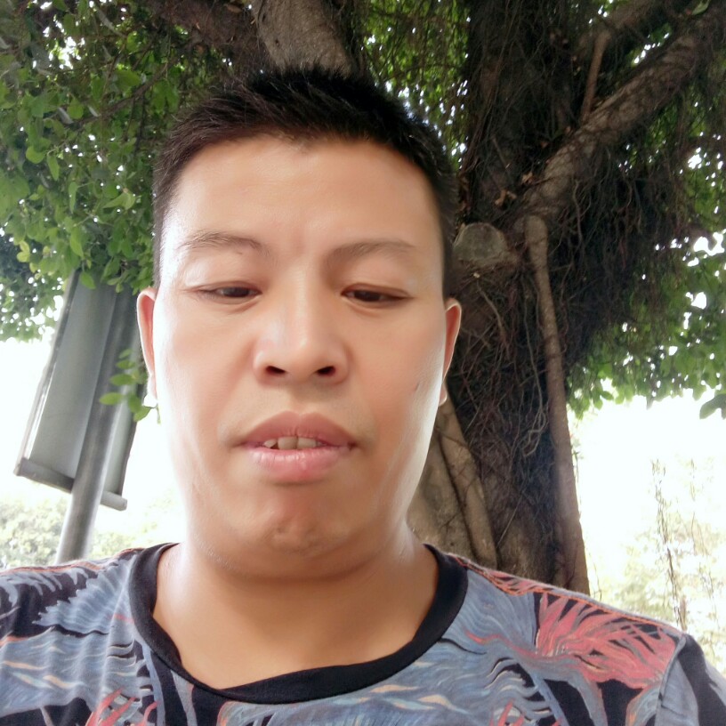 沙漠阳光的照片