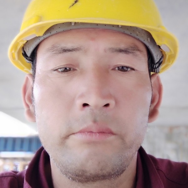 稳重倾心小松鼠的照片
