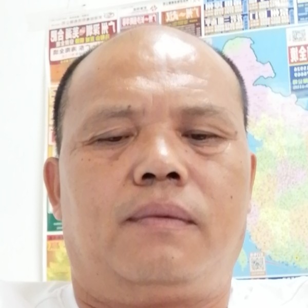 黑夜漫步机灵的照片