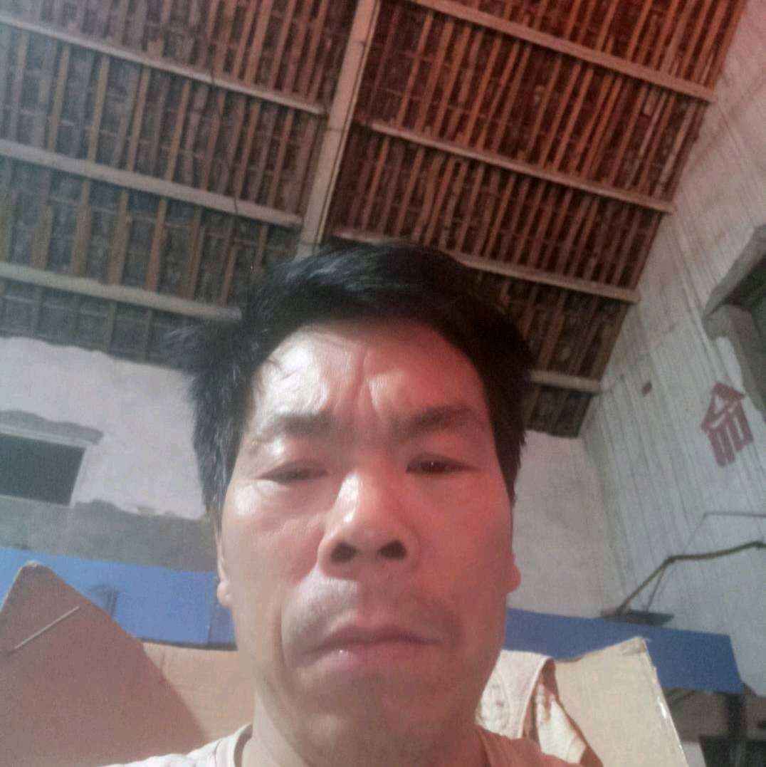 星雨苗条爱你一生的照片