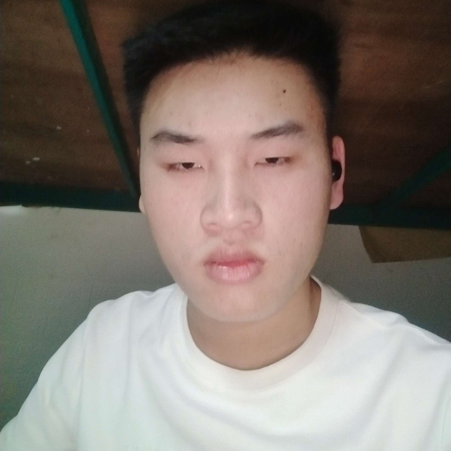 月饼用害羞的照片
